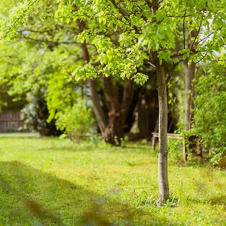 Ferienhaus Lienz بيت للعطل